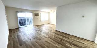 10908 Rose Gallery 9