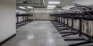 The Frankie Gallery 33