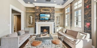 Alvista Bowie Gallery 2