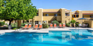 Alterra Apartments Gallery 19