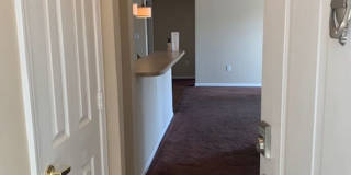 Beautiful Condo! Gallery 5