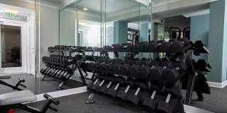 Jackson Hill Gallery 37