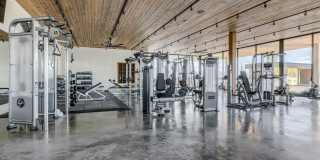 Sanctuary Gallery 21