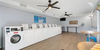 Lakes Edge Gallery 25