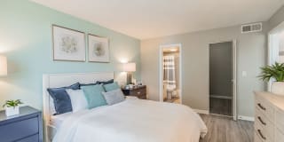 Bermuda Cay Gallery 11