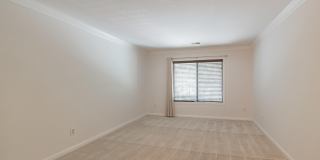 2811 LEE OAKS Court Gallery 23