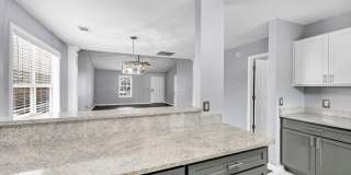 BEAUTIFULLY RENOVATED TWO BEDROOM IN CHAPIN Gallery 13