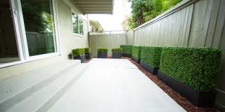 Walnut Hill Gallery 17