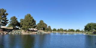 45462 W Tulip Lane Gallery 13