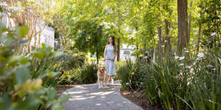 Shadowbrook Apartments Gallery 43