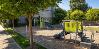 Trio Pointe Gallery 33