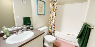 Vista Waterleaf Apartments Gallery 28