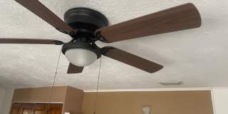 501 Frances Terrace Gallery 2