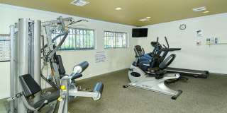 1877 TOUCAN WAY Gallery 34