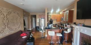 Massive Luxury Apt in Packards Corner Near BU!  Central AC & Heat, XL Rooms! Gallery 3