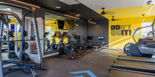 The Warren Gallery 19