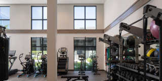 The Riley Gallery 39