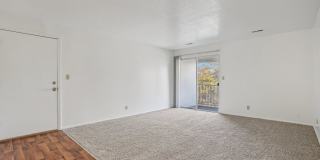 Country Woods Gallery 19