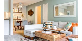 Sofi Dublin Gallery 4