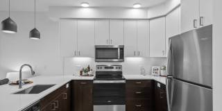 Solis at Petrosa Gallery 4