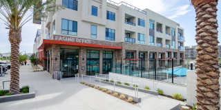 The Avalyn Gallery 49