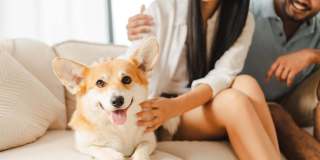 The Standard Gallery 10