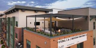 Juniper on Main Gallery 24