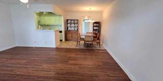 358 Chatham R Gallery 4