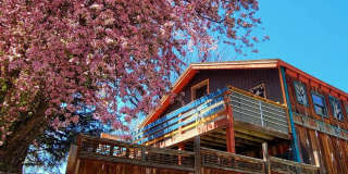 1BD Loft in the Heart of Downtown Pagosa Springs Gallery 1