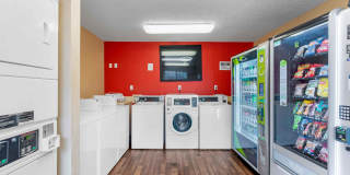 Fort Lauderdale - Davie Gallery 22