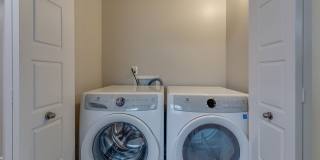 Olympus at Ten Mile Gallery 8