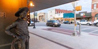 Mihir Taylor Gallery 45