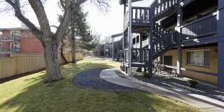 701 (384) Gallery 26