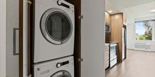 The Fifty at Division Gallery 12