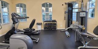 20119 WEEPING LAUREL PLACE Gallery 50