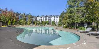 Estates at Cougar Mountain Gallery 16