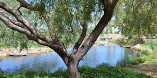 12415 W RUNNING DEER Trail Gallery 29