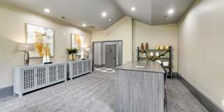 Solano at Chapel Hill Gallery 14