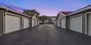 Coral Vista Gallery 59