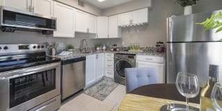 Hamilton Point on Egypt Lake Gallery 2