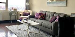 1355 N Sandburg Terrace Gallery 13
