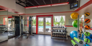 Palermo at Lakeland Gallery 8