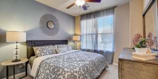 Springs at Round Rock Gallery 10