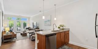 Encore North Gallery 3