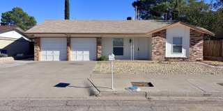 11137 PINK CORAL Drive Gallery 1