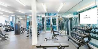 Modera Pomona Gallery 22