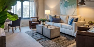 International Village Gallery 11