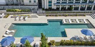 Bluestem at Loyola Gallery 24