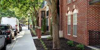 The Moxie Gallery 12