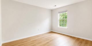 10237 GREEN HOLLY Terrace Gallery 10